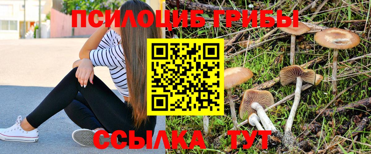 Псилоцибиновые грибы мицелий Кувандык