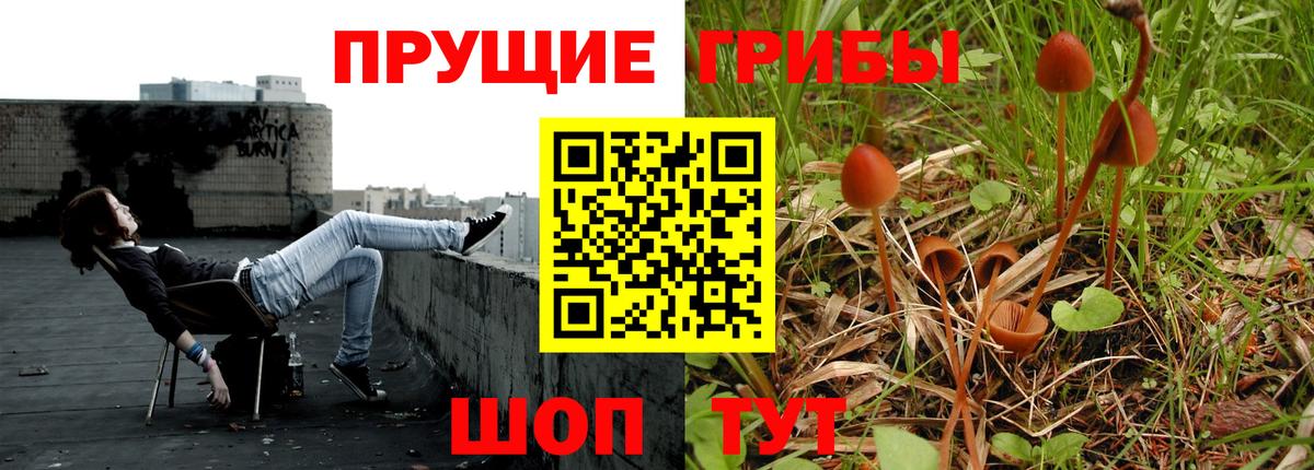 Кувандык  как найти   Вход с VPN  Псилоцибиновые грибы Cubensis  Галлюциногенные грибы Cubensis 
