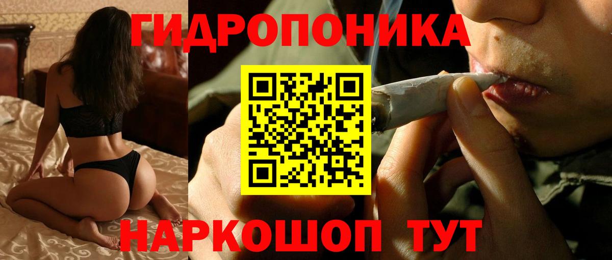 Конопля тримм  Вход с VPN  Кувандык  Шишки марихуана VHQ  Каннабис Bruce Banner 